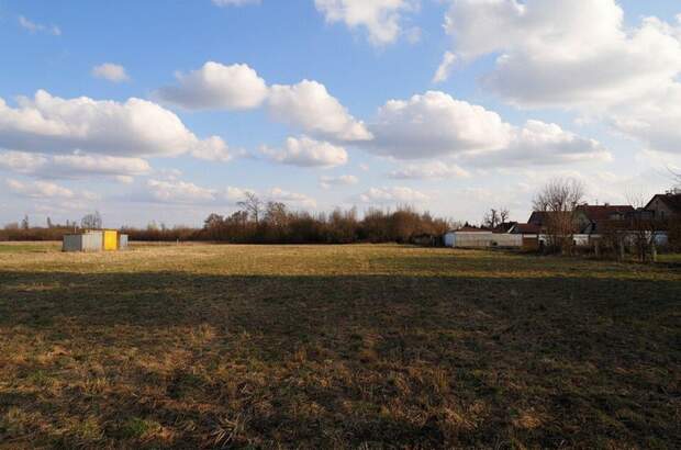 Grundstück kaufen in 4064 Oftering (Bild 2)