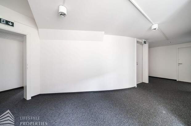 Gewerbeobjekt mieten in 1010 Wien (Bild 5)