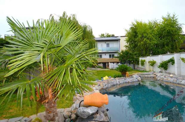 Wohnanlage kaufen in 7141 Podersdorf (Bild 2)