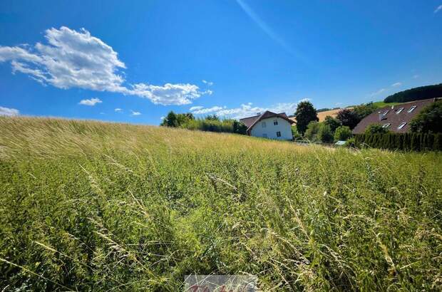 Grundstück kaufen in 4616 Weyerbach (Bild 2)