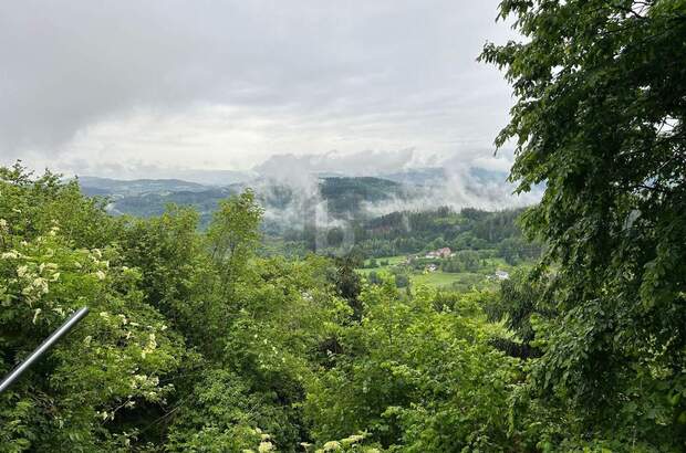 Einfamilienhaus kaufen in 9062 Moosburg (Bild 5)
