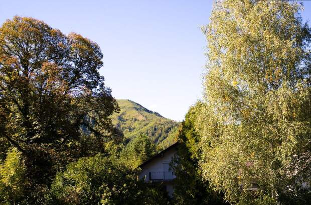 Wohnung mit Balkon kaufen in 4592 Leonstein (Bild 2)