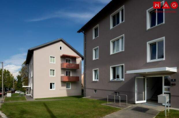 Wohnung mieten in 4910 Ried (Bild 3)