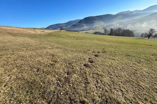 Grundstück kaufen in 3353 Seitenstetten Dorf (Bild 3)