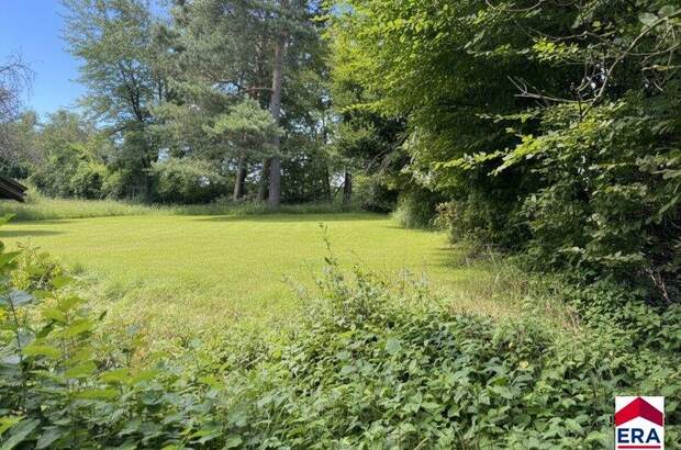 Grundstück kaufen in 3413 Hintersdorf (Bild 1)