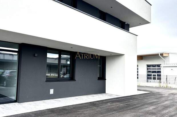 Gewerbeobjekt mieten in 2500 Baden (Bild 1)