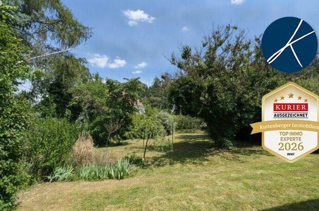 Einfamilienhaus kaufen in 2020 Hollabrunn (Bild 2)