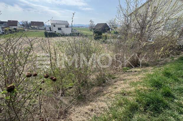 Grundstück kaufen in 2100 Leobendorf (Bild 3)