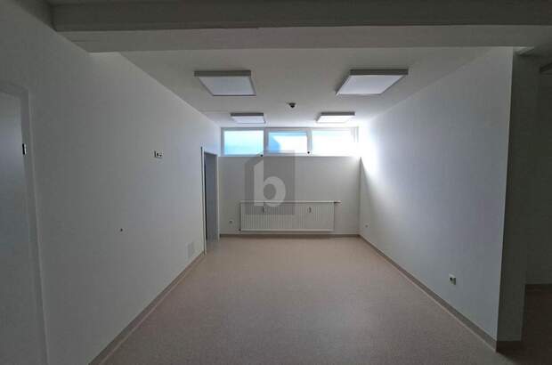 Büro / Praxis mieten in 9125 Kühnsdorf (Bild 1)