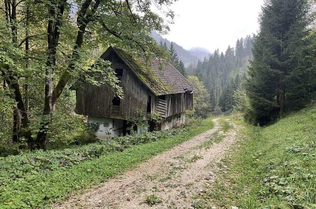 Gewerbeobjekt kaufen in 9135 Ebriach (Bild 4)