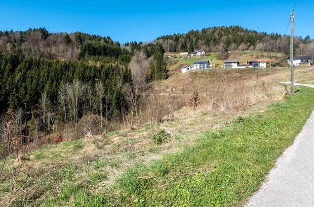 Gewerbeobjekt kaufen in 4202 Kirchschlag (Bild 3)