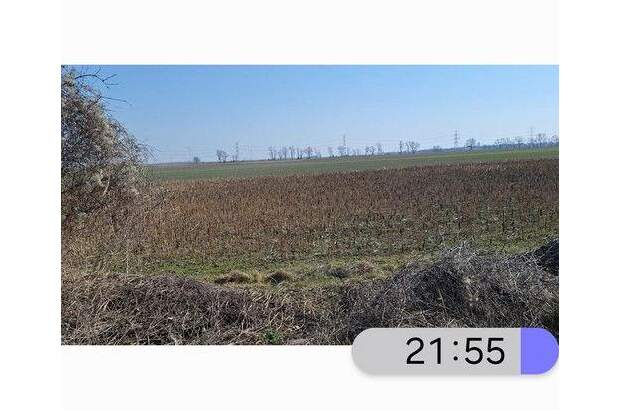 Einfamilienhaus kaufen in 1220 Wien (Bild 1)