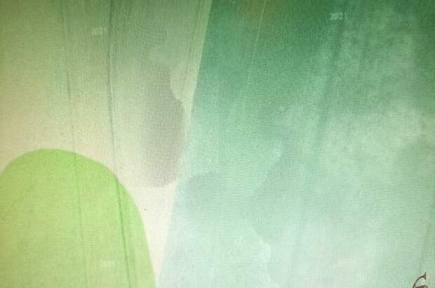 Grundstück kaufen in 2253 Weikendorf (Bild 4)