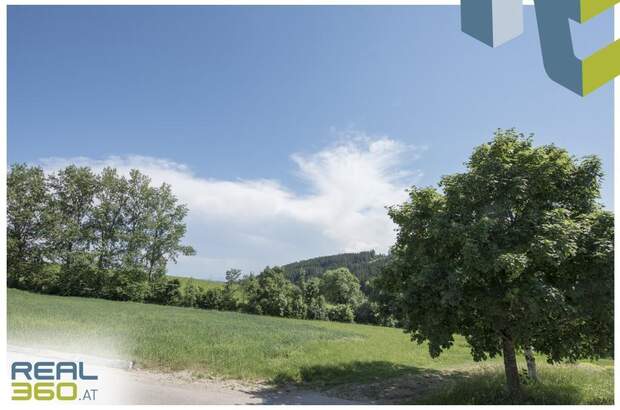 Terrassenwohnung kaufen in 4202 Kirchschlag (Bild 3)