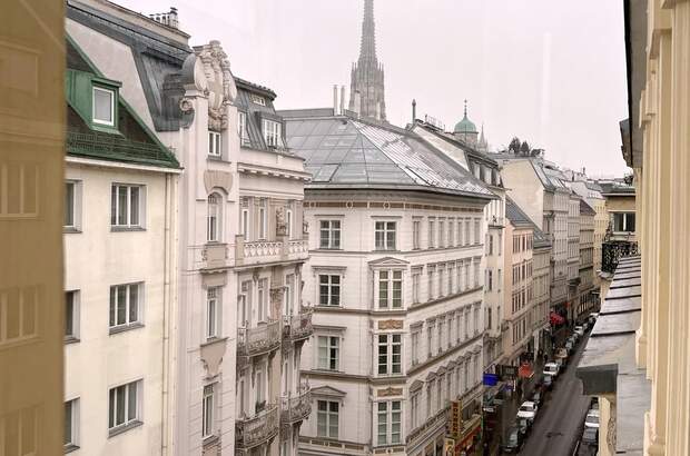 Terrassenwohnung mieten in 1010 Wien (Bild 4)