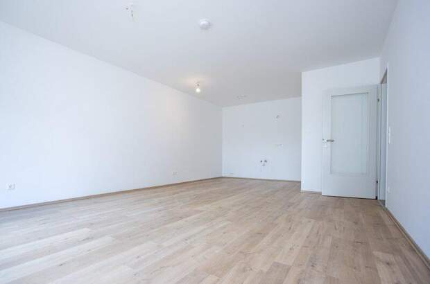 Terrassenwohnung kaufen in 2700 Wr. Neustadt (Bild 3)