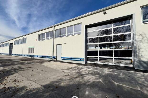 Gewerbeobjekt mieten in 2345 Brunn (Bild 5)