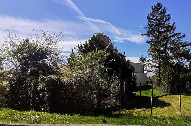 Grundstück kaufen in 2452 Mannersdorf (Bild 2)