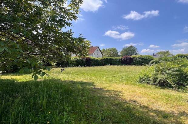 Grundstück kaufen in 8431 Gralla (Bild 3)