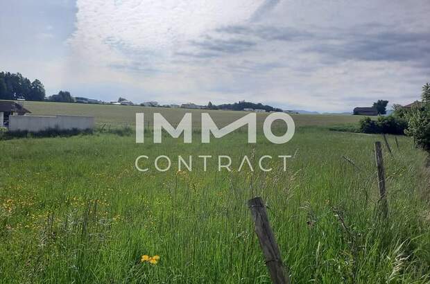 Grundstück kaufen in 4540 Bad Hall