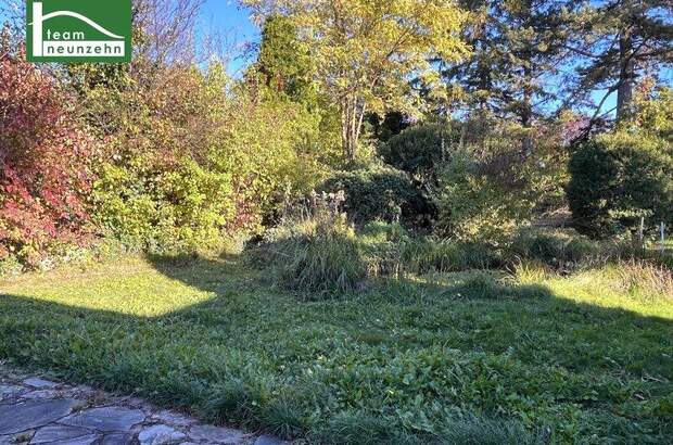 Grundstück kaufen in 1220 Wien (Bild 4)