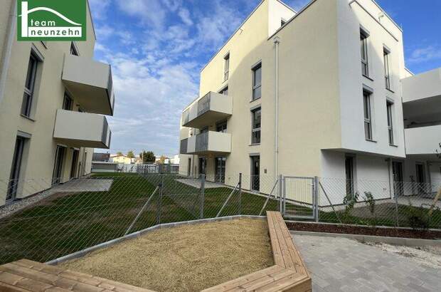 Terrassenwohnung mieten in 1220 Wien (Bild 1)