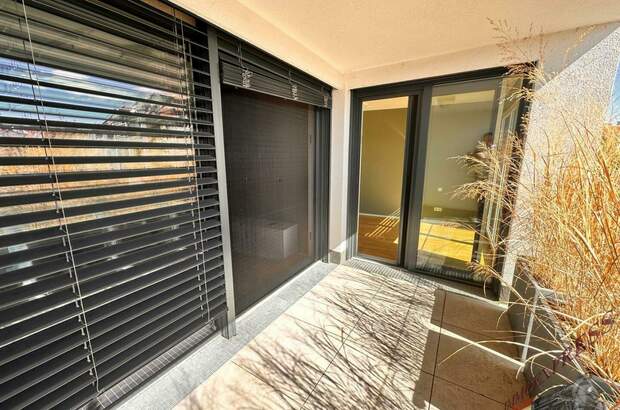 Terrassenwohnung mieten in 2345 Brunn (Bild 1)