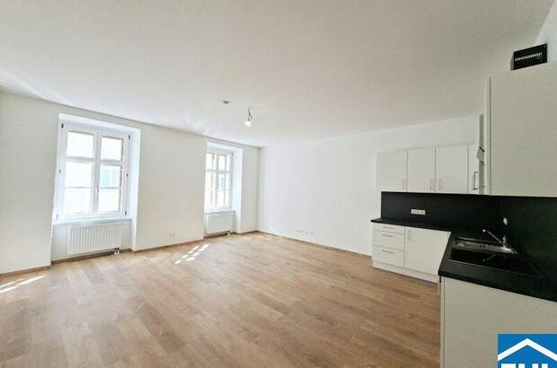 Terrassenwohnung mieten in 1040 Wien (Bild 1)