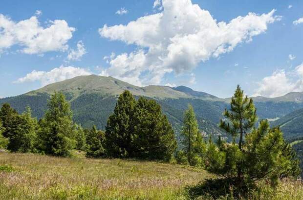 Grundstück kaufen in 8864 Turracherhöhe (Bild 1)