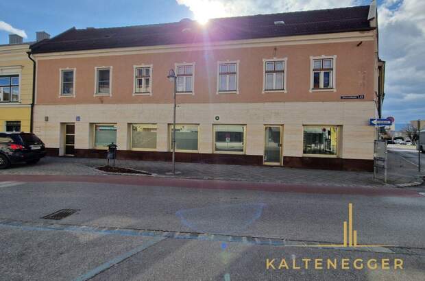Anlageobjekt kaufen in 2620 Neunkirchen (Bild 1)
