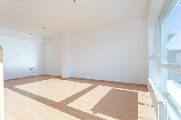 Terrassenwohnung mieten in 3382 Loosdorf (Bild 4)