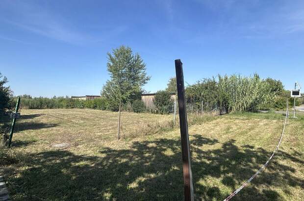 Grundstück kaufen in 7100 Neusiedl (Bild 4)