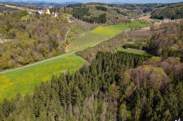 Gewerbeobjekt kaufen in 8333 Riegersburg (Bild 3)
