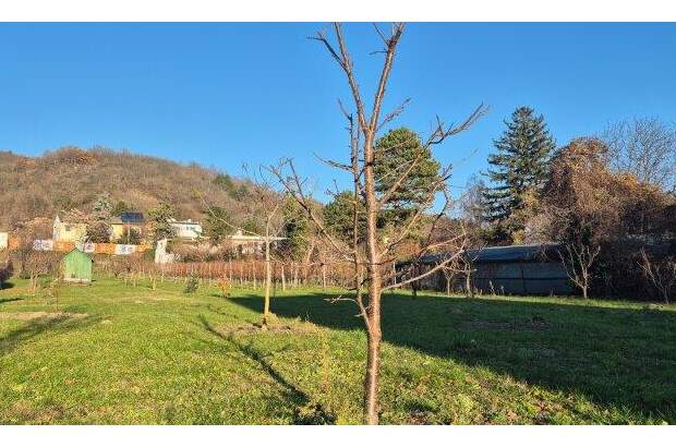 Grundstück kaufen in 2103 Langenzersdorf (Bild 2)