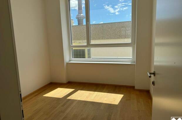 Gewerbeobjekt mieten in 2630 Ternitz (Bild 2)