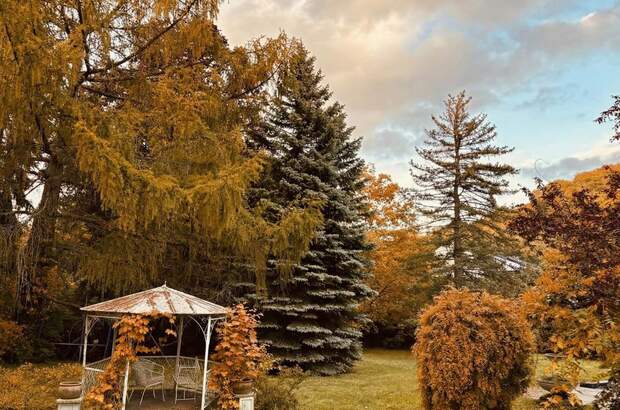 Wohnung kaufen in 3002 Purkersdorf (Bild 2)