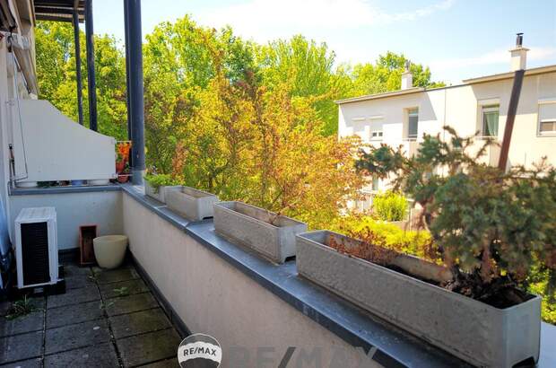 Terrassenwohnung kaufen in 1230 Wien (Bild 5)