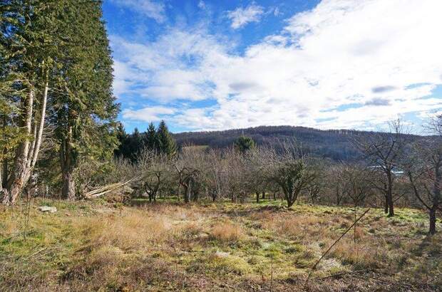 Grundstück kaufen in 3001 Mauerbach (Bild 4)