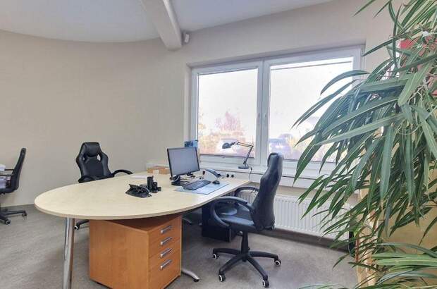 Gewerbeobjekt mieten in 2120 Wolkersdorf (Bild 2)