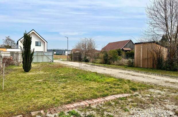 Grundstück kaufen in 3462 Absdorf (Bild 1)