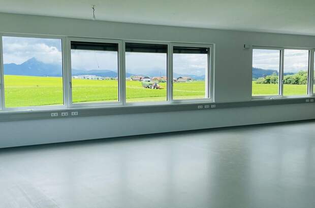 Gewerbeobjekt mieten in 5300 Hallwang (Bild 1)