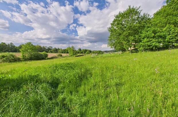 Grundstück kaufen in 8230 Eggendorf (Bild 5)