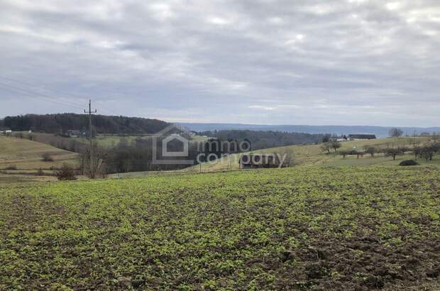 Grundstück kaufen in 8382 Weichselbaum
