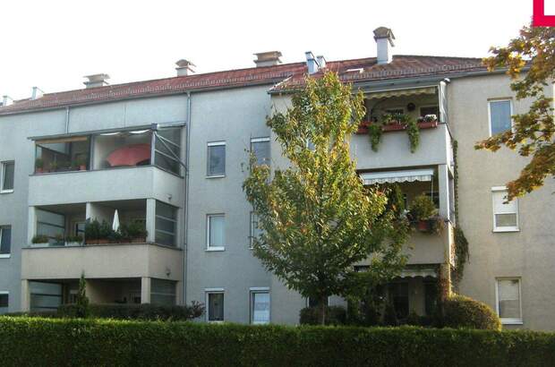 Wohnung mieten in 4060 Leonding (Bild 4)