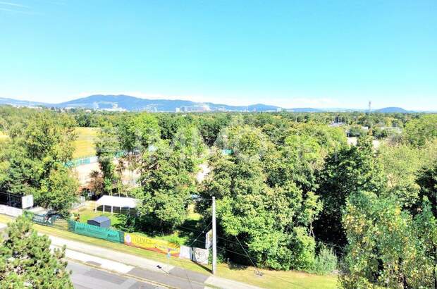 Terrassenwohnung kaufen in 4020 Linz (Bild 1)