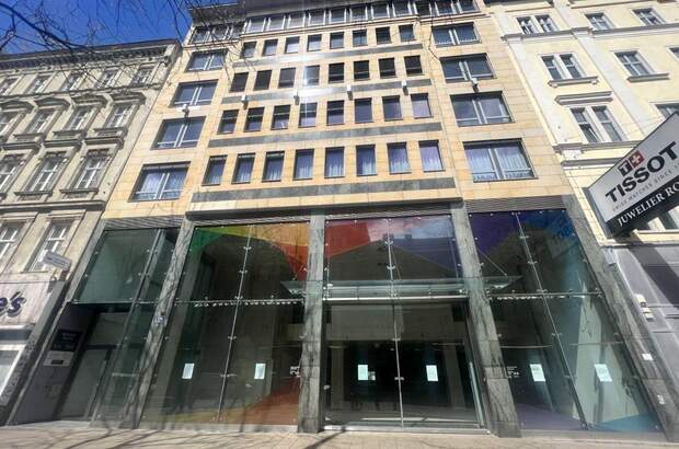 Gewerbeobjekt mieten in 1070 Wien (Bild 1)