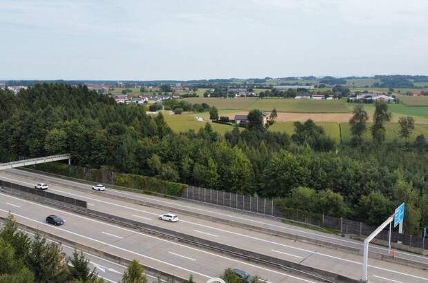 Gewerbeobjekt kaufen in 4642 Sattledt (Bild 4)