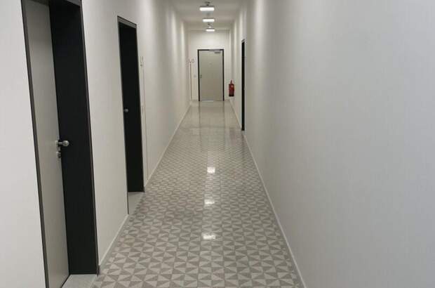 Gewerbeobjekt mieten in 2340 Mödling (Bild 3)