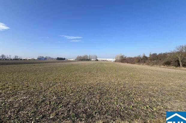 Lager kaufen in 2433 Margarethen (Bild 3)