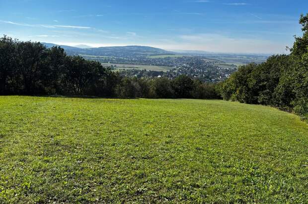 Grundstück kaufen in 3434 Tulbing (Bild 1)